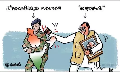 മോഡിഫൈഡ് ദേശഭക്തി