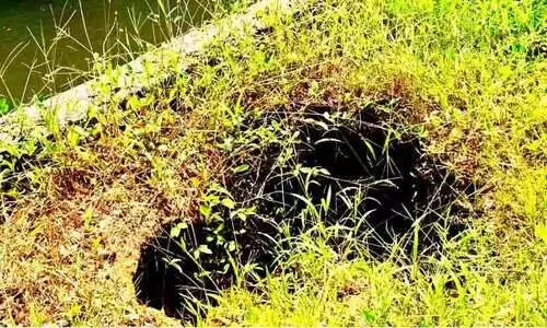 മോനൊടിയില്‍ കനാല്‍ ബണ്ടില്‍ ഗര്‍ത്തങ്ങള്‍; ഭീതിയോടെ നാട്ടുകാര്‍