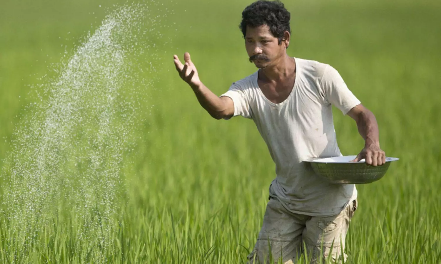 വികസിത് കൃഷി സങ്കല്പ് അഭിയാൻ’: കാർഷിക മേഖലയിലെ ശാസ്ത്രജ്ഞർ കർഷകരുമായി ആശയവിനിമയം നടത്തും