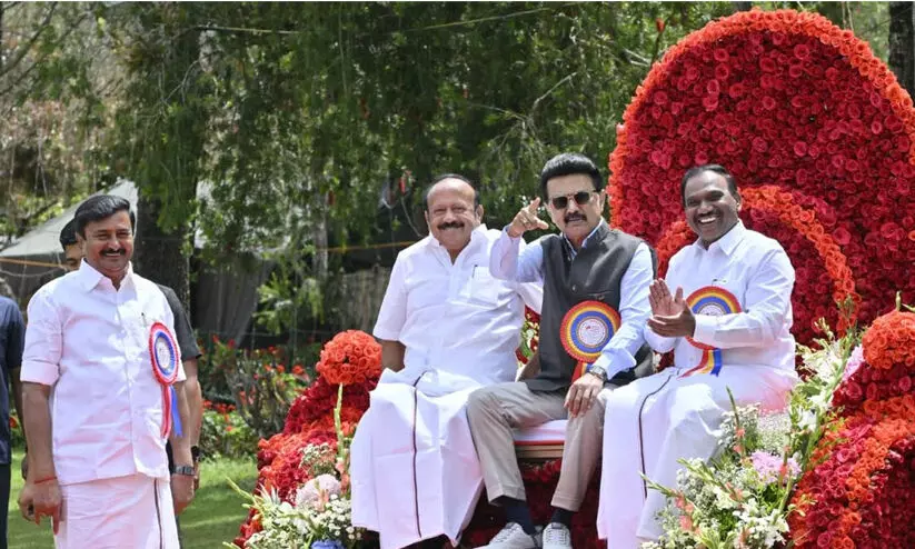 ooty flower show