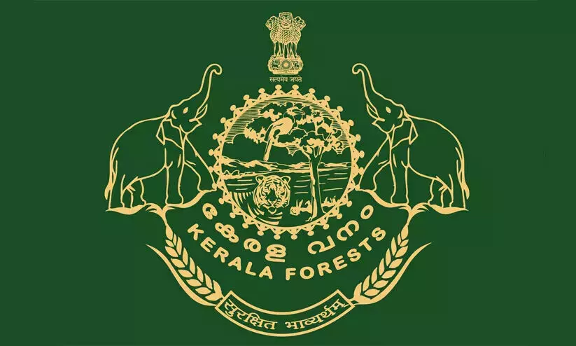 ‘വിത്തൂട്ട്’: പരിസ്ഥിതി പുനഃസ്ഥാപനത്തിന്​ വനം വകുപ്പിന്റെ നവീന പദ്ധതി