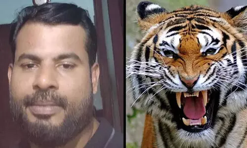 മാനന്തവാടിയിലേതിന്​ സമാനം; ഈ വർഷം രണ്ടാമത്തെ മരണം