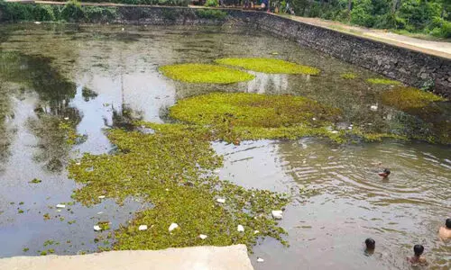 മാലിന്യം കുമിഞ്ഞ് കാട്ടുകുളം; ശുചീകരണത്തിന് മൂന്ന് ലക്ഷം അനുവദിച്ചെന്ന് അധികൃതർ മാലിന്യം കുമിഞ്ഞ് കാട്ടുകുളം; ശുചീകരണത്തിന് മൂന്ന് ലക്ഷം അനുവദിച്ചെന്ന് അധികൃതർ