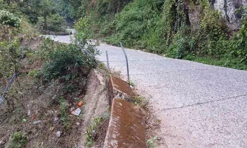 അപകട ഭീഷണിയിൽ പാൽച്ചുരം യാത്ര; സുരക്ഷാവേലി തകർന്ന് മാസങ്ങളായിട്ടും പുനർനിർമിച്ചില്ല