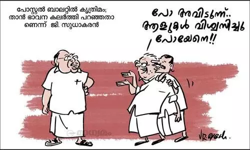 കവിഭാവന