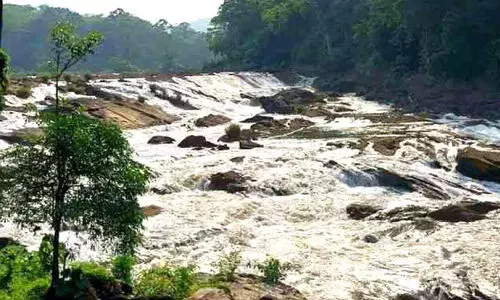 വേ​ന​ൽ​മ​ഴ സീ​സ​ണി​ൽ സ​ഞ്ചാ​രി​ക​ൾ​ക്ക് കു​ളി​രാ​യി വാ​ഴ​ച്ചാ​ൽ