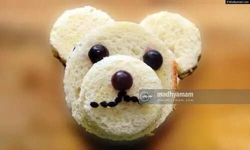 teddy sandwich