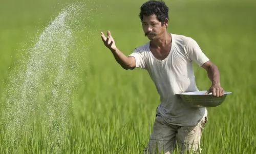 വികസിത് കൃഷി സങ്കല്പ് അഭിയാൻ’: കാർഷിക മേഖലയിലെ ശാസ്ത്രജ്ഞർ കർഷകരുമായി ആശയവിനിമയം നടത്തും