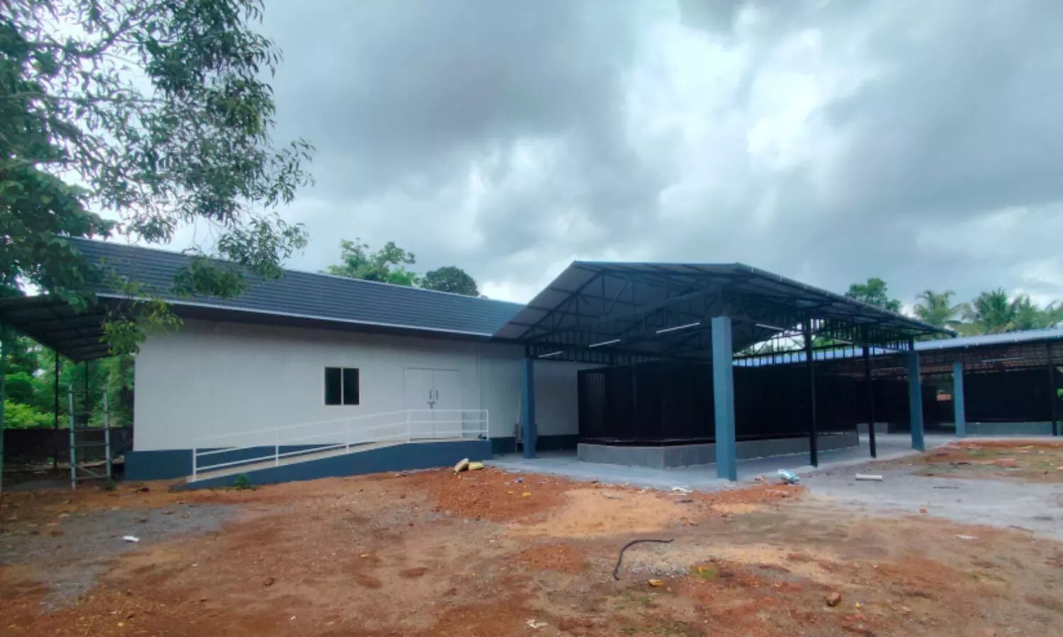 തെരുവുനായ് ശല്യം ഇ​നി പേ​ടി​ക്കേ​ണ്ട; നാ​യ്ക്ക​ളെ പി​ടി​ച്ച് കൂ​ട്ടി​ലി​ടും