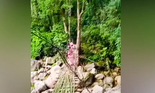 പാലം പ്രളയം കൊണ്ടുപോയിട്ട്​ ഏഴ്​ വർഷം; പരാതി പറഞ്ഞ് മടുത്ത് ക​ള്ള​കു​ട്ടി കു​ടിയിലെ ജനങ്ങൾ