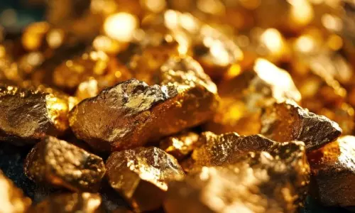 സ്വന്തം കൃഷിയിടത്തിൽ കർഷകൻ കണ്ടെത്തിയത് ശതകോടികൾ വിലമതിക്കുന്ന സ്വർണം; പക്ഷേ...