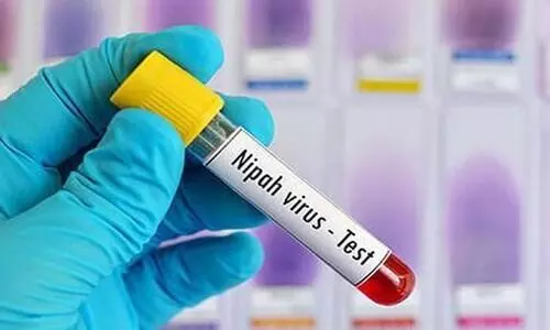 നിപ: രണ്ടുപേരുടെ സാമ്പ്ൾ കൂടി നെഗറ്റിവ്