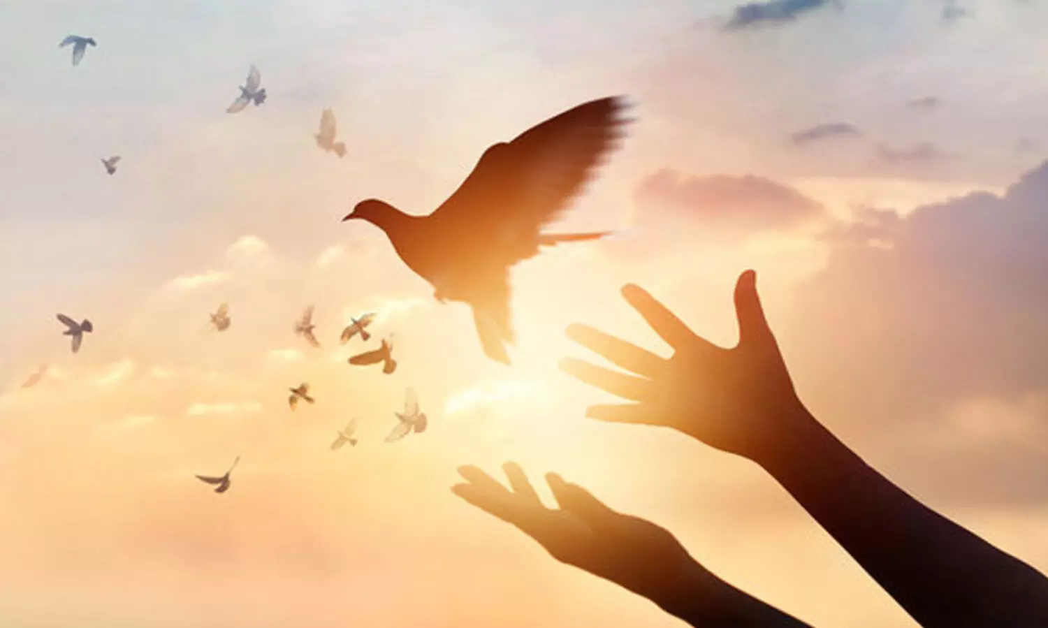 യു​ദ്ധ​വും സ​മാ​ധാ​ന​വും