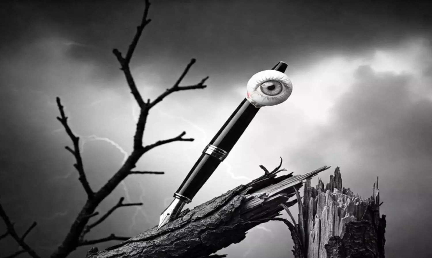 സെപ്പറേറ്റിസ്റ്റ്‌