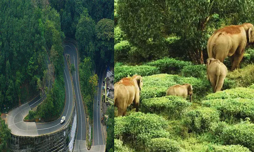 കൊലയാളി ടൂറിസത്തെ നാടുകടത്തണം-വയനാട് പ്രകൃതി സംരക്ഷണ സമിതി