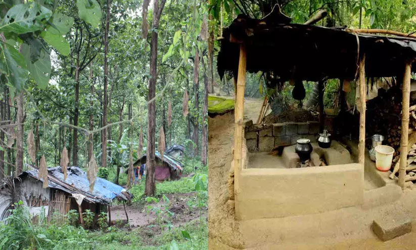 ജനനീ ജന്മരക്ഷ പദ്ധതിക്കുള്ള തുകപോലും വിതരണം ചെയ്യാതെ പട്ടികവർഗ വകുപ്പ്