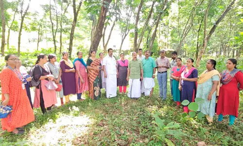 ഡെങ്കിപ്പനി വ്യാപനം ശക്തം; അയ്യൻകുന്നിലും മുഴക്കുന്നിലും നിരവധിപേർക്ക് രോഗബാധ