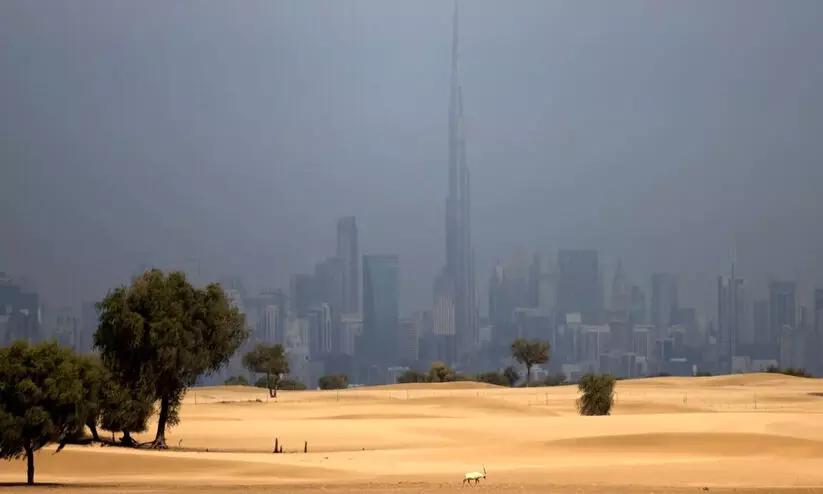 ചൂ​ട്​ കൂ​ടു​ന്നു; കൂ​ടെ പൊ​ടി​ക്കാ​റ്റും ഈ​ർ​പ്പ​വും