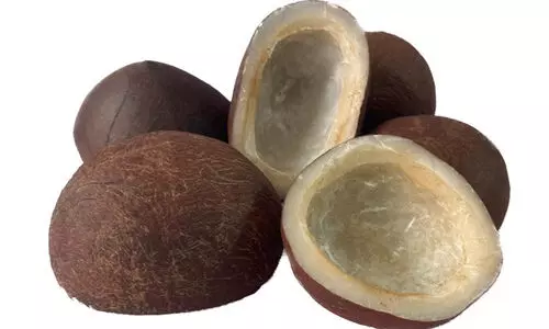 കൊപ്ര വില സർവകാല റെക്കോഡിൽ; കുരുമുളകിന് ക്ഷാമം