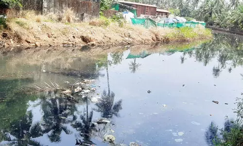 മാലിന്യം നിറഞ്ഞ് പള്ളം പുഴ; ദു​രി​തം​പേ​റി ഒ​രു ജ​ന​ത