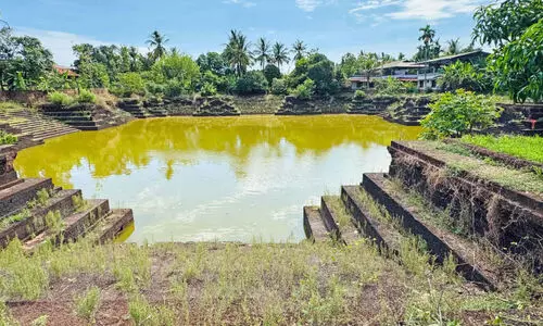 മുരിക്കഞ്ചേരി കുളം; ചരിത്രശേഷിപ്പ് സംരക്ഷിക്കാൻ അധികൃതർ കനിയുമോ
