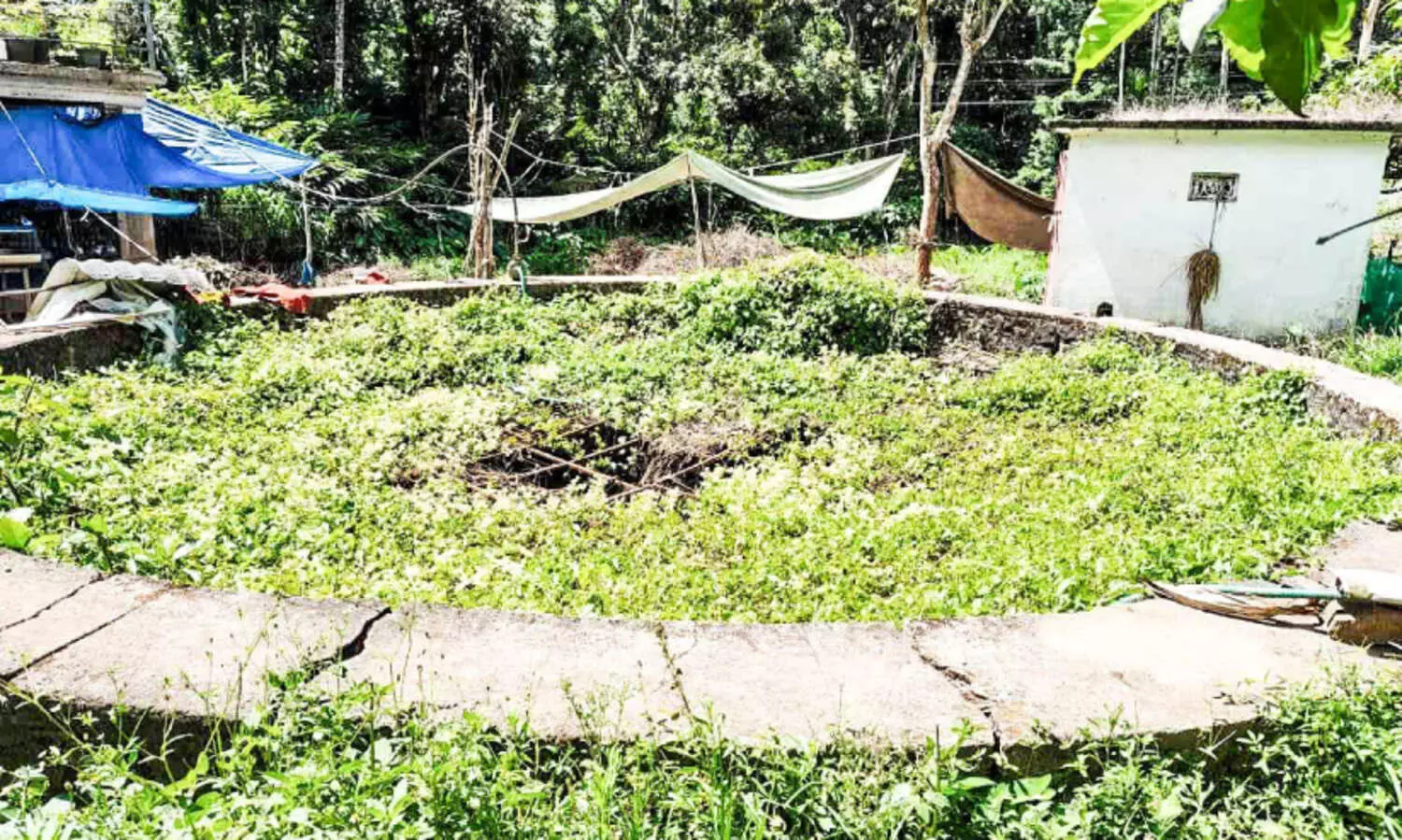 പ്രദേശവാസികളുടെ ദാഹമകറ്റുമോ?; പത്തനിപ്പാറ ശുദ്ധജല പദ്ധതി മുടങ്ങിയിട്ട്​അഞ്ചുവർഷം