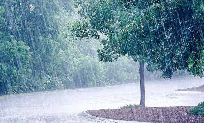 മഴ വരുന്നു... കരുതൽ വേണം; ജാ​ഗ്ര​ത നി​ർ​ദേ​ശ​വു​മാ​യി ദു​ര​ന്തനി​വാ​ര​ണ അ​തോ​റി​റ്റി