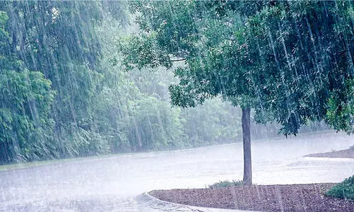 മഴ വരുന്നു... കരുതൽ വേണം; ജാ​ഗ്ര​ത നി​ർ​ദേ​ശ​വു​മാ​യി ദു​ര​ന്തനി​വാ​ര​ണ അ​തോ​റി​റ്റി