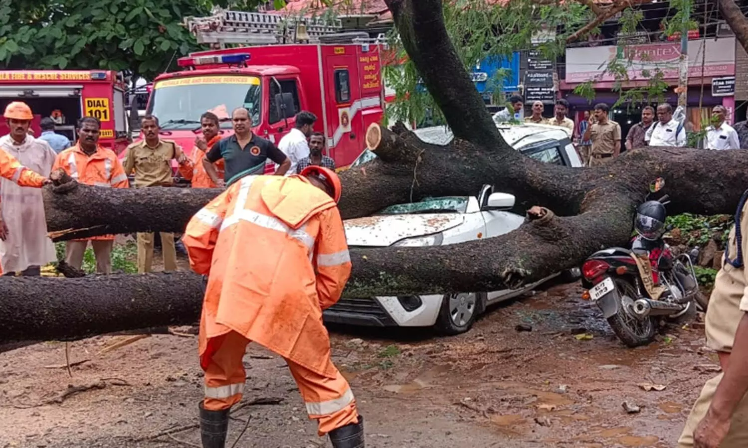 irinjalakkuda 9879879