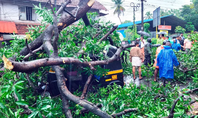 കണ്ണൂർ ജില്ലയിൽ ശക്തമായ മഴ; പരക്കെ നാശം കണ്ണൂർ ജില്ലയിൽ ശക്തമായ മഴ; പരക്കെ നാശം