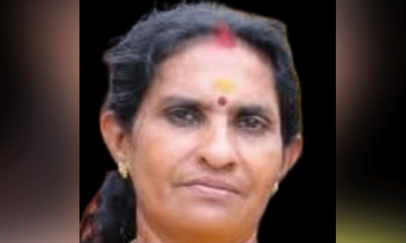 സ്വകാര്യ ബസിൽ നിന്ന് വീണ് പരിക്കേറ്റ വീട്ടമ്മ മരിച്ചു സ്വകാര്യ ബസിൽ നിന്ന് വീണ് പരിക്കേറ്റ വീട്ടമ്മ മരിച്ചു