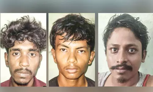 കഞ്ചാവും കഞ്ചാവ് ചെടികളുമായി അന്തർസംസ്ഥാന തൊഴിലാളികൾ പിടിയിൽ