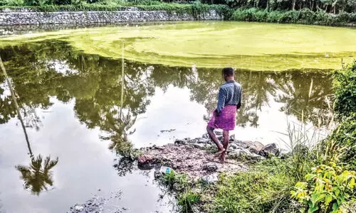 മാ​ള വ​ലി​യ​പ​റ​മ്പ് പു​തു​കു​ളം ന​വീ​ക​ര​ണം പാ​തി​വ​ഴി​യി​ൽ
