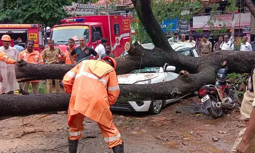 irinjalakkuda 9879879 irinjalakkuda 9879879