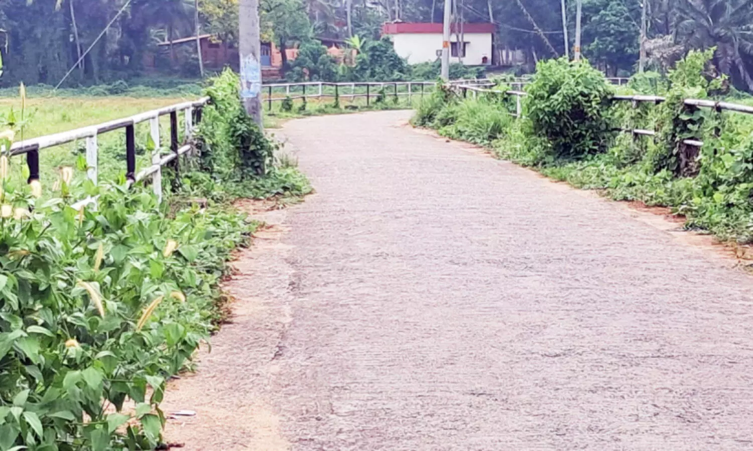 അ​നാ​സ്ഥ​യു​ടെ പ്ര​തീ​ക​മാ​യി കോ​ഴ​ഞ്ചേ​രി​യി​ലെ വി​ശ്ര​മ പ​ദ്ധ​തി​ക​ൾ