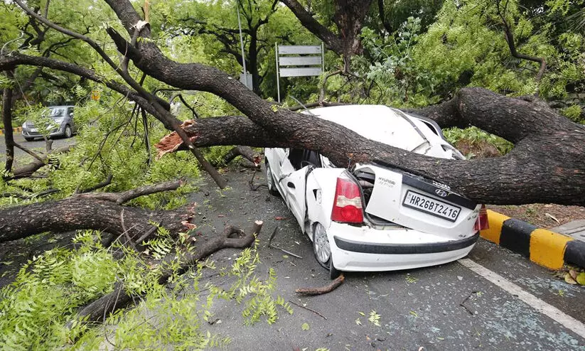 കൊടുങ്കാറ്റ്: ഇരുട്ടിലായി ഡൽഹി, രണ്ട് മരണം. മരങ്ങൾ കടപുഴകി കൊടുങ്കാറ്റ്: ഇരുട്ടിലായി ഡൽഹി, രണ്ട് മരണം. മരങ്ങൾ കടപുഴകി