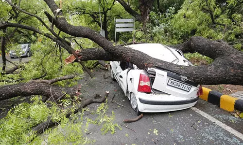 കൊടുങ്കാറ്റ്: ഇരുട്ടിലായി ഡൽഹി, രണ്ട് മരണം. മരങ്ങൾ കടപുഴകി
