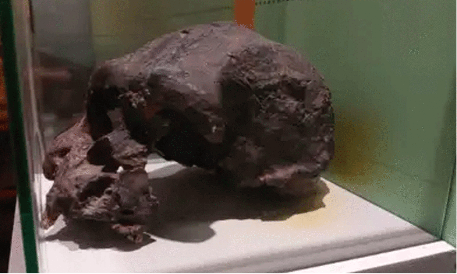 1,40,000 വർഷം പഴക്കം; കടലിനടിയിൽനിന്ന് മനുഷ്യ ഫോസിലുകൾ കണ്ടെടുത്ത് ഗവേഷകർ