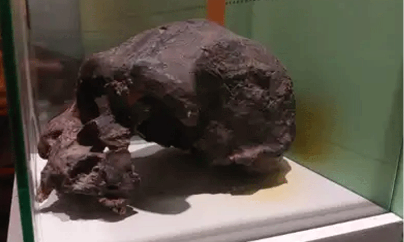 1,40,000 വർഷം പഴക്കം; കടലിനടിയിൽനിന്ന് മനുഷ്യ ഫോസിലുകൾ കണ്ടെടുത്ത് ഗവേഷകർ