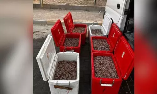 നി​യ​മ​വി​രു​ദ്ധ​മാ​യി ചെ​മ്മീ​ൻ   പി​ടി​ച്ച മൂ​ന്നു​പേ​രെ കോ​സ്റ്റ് ഗാ​ർ​ഡ് അ​റ​സ്റ്റു ചെ​യ്തു