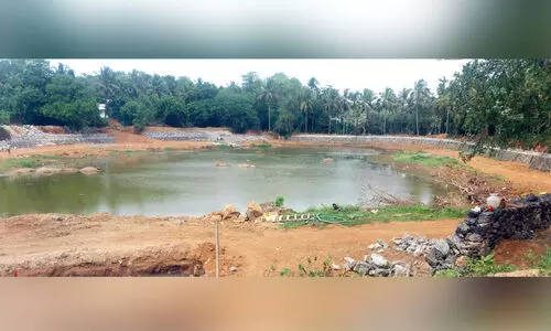 ക​യി​ലി​യാ​ട് ക​വ​ണി​ക്കു​ളം പു​തു​മോ​ടി​യി​ലേ​ക്ക്