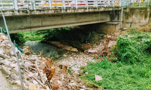 മാലിന്യം വലിച്ചെറിയൽ വ്യാപകം; പന്തളത്തെ കാറ്റിനുപോലും ദുർഗന്ധം