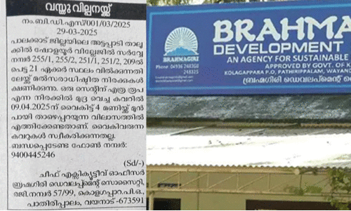 മാർക്കറ്റ് വിലയിൽ നിന്ന് കോടികളുടെ അന്തരം; അട്ടപ്പാടിയിൽ കേരള ചിക്കൻ പദ്ധതിയുടെ ഭൂമി വിൽപ്പനക്ക്, അഴിമതിയെന്ന് ആരോപണം