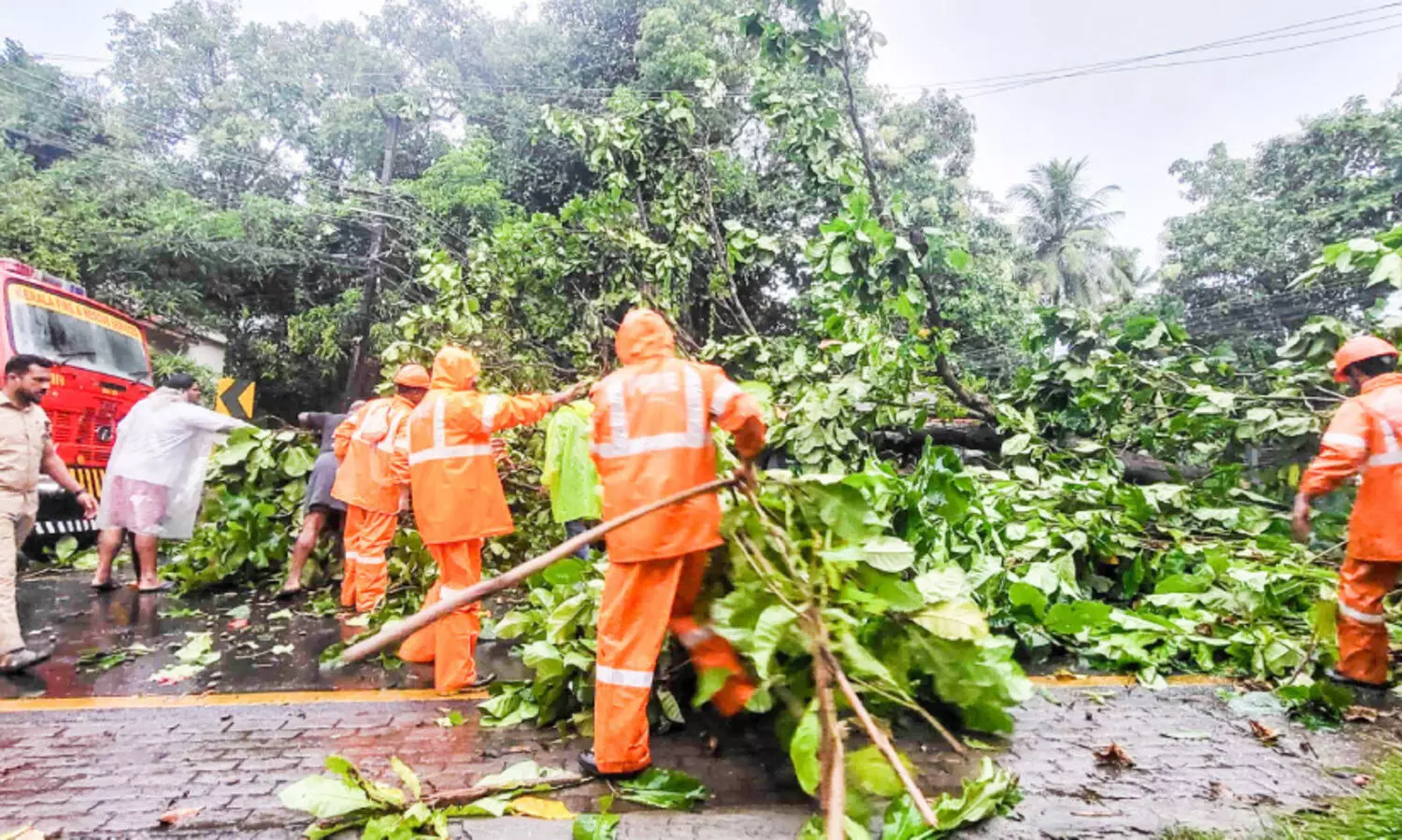ശക്തമായ കാറ്റിൽ വീട് തകർന്നു; മരം വീണ് ഗതാഗതം തടസ്സപ്പെട്ടു