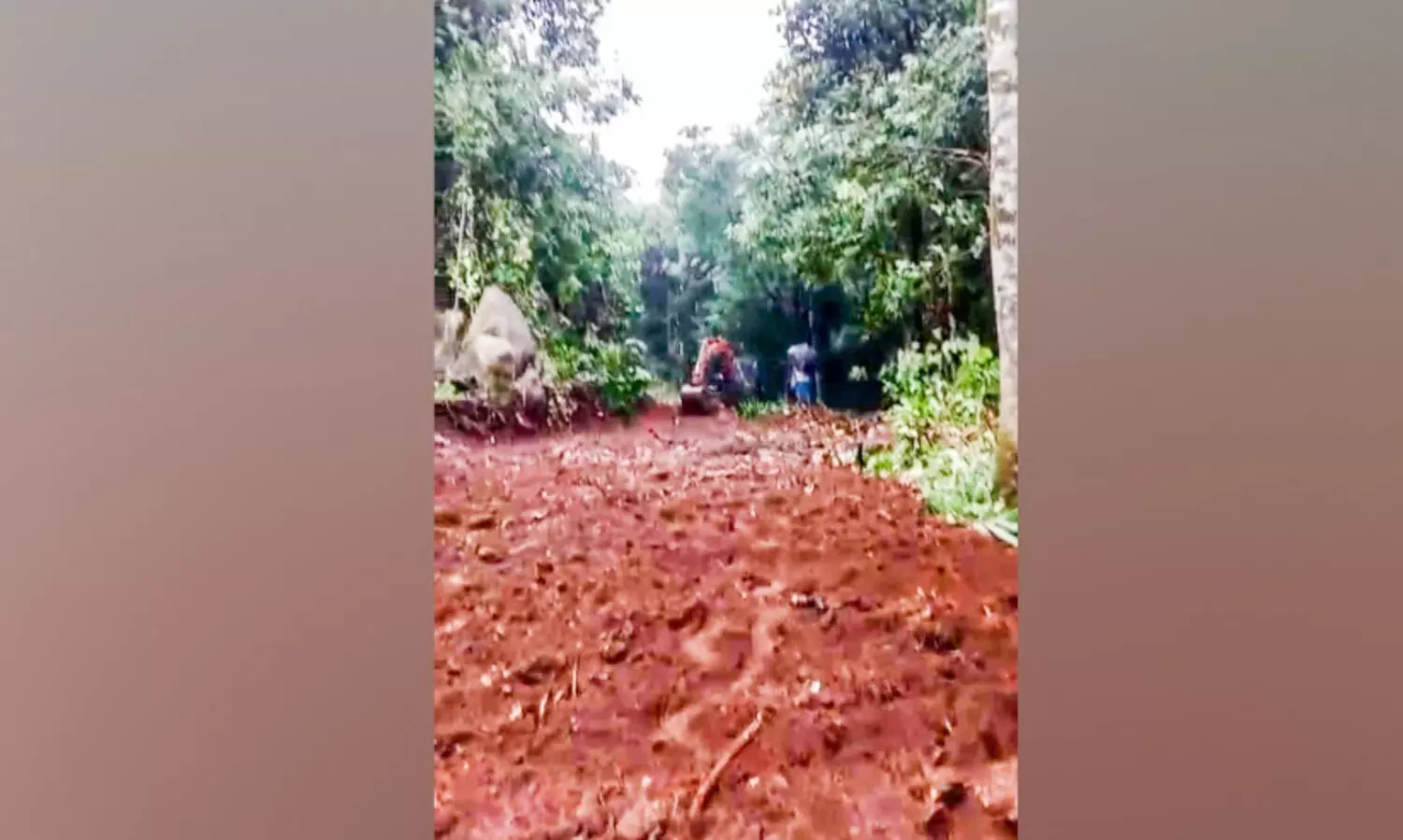 പോയാലിമലയിലേക്ക് ഇനി എളുപ്പത്തിൽ എത്താം; 30 അടി വീതിയിലും 800 മീറ്റർ നീളത്തിലും വഴി യാഥാർഥ്യമായി