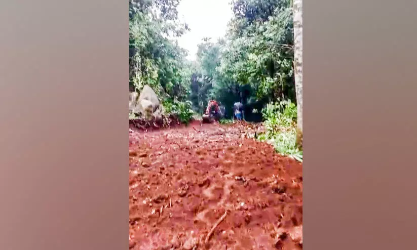 പോയാലിമലയിലേക്ക് ഇനി എളുപ്പത്തിൽ എത്താം; 30 അടി വീതിയിലും 800 മീറ്റർ നീളത്തിലും വഴി യാഥാർഥ്യമായി