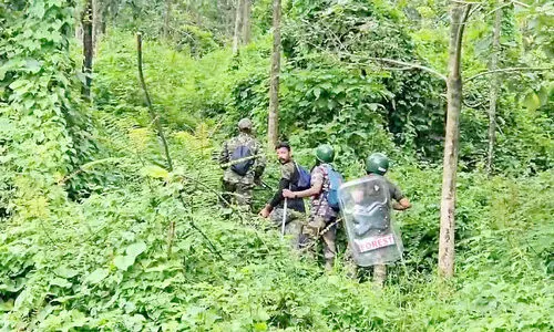 വ​ന്യ​മൃ​ഗ​ങ്ങ​ൾ​ക്ക് സ്വൈ​ര വി​ഹാ​ര​ത്തി​ന് സൗ​ക​ര്യ​മൊ​രു​ക്കു​ന്ന​ത് സ്വ​കാ​ര്യ എ​സ്റ്റേ​റ്റു​ക​ളി​ലെ അ​ടി​ക്കാ​ടു​ക​ൾ