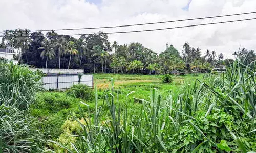 കായംകുളത്ത് കളിസ്ഥലവും ഐ.ടി.ഐയും റിയൽ എസ്റ്റേറ്റ് മാഫിയ അട്ടിമറിച്ച പദ്ധതികൾ കായംകുളത്ത് കളിസ്ഥലവും ഐ.ടി.ഐയും റിയൽ എസ്റ്റേറ്റ് മാഫിയ അട്ടിമറിച്ച പദ്ധതികൾ