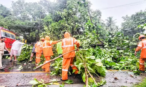 ശക്തമായ കാറ്റിൽ വീട് തകർന്നു; മരം വീണ് ഗതാഗതം തടസ്സപ്പെട്ടു