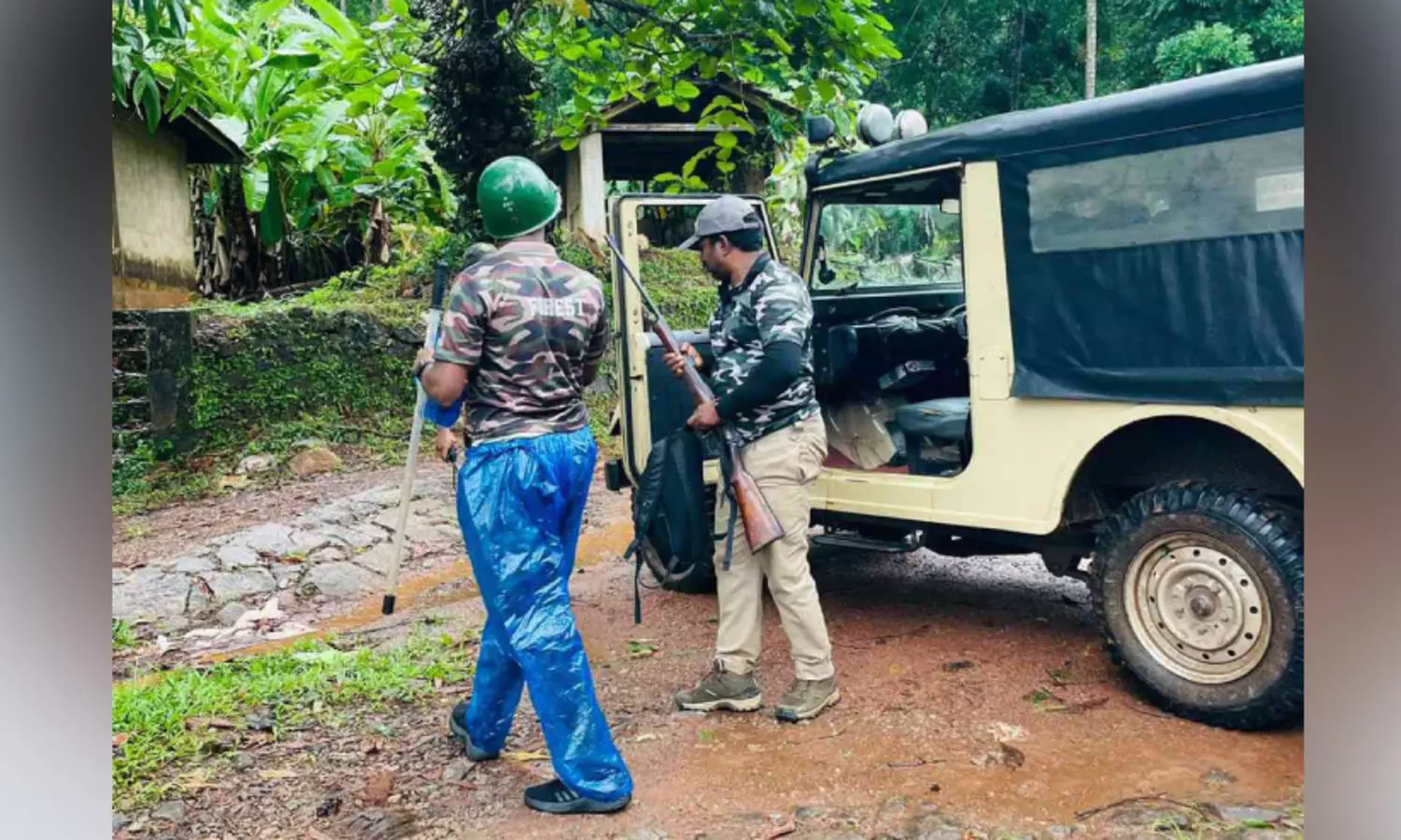 കടുവ ഭീതിയിൽ കൂടുതൽ എസ്റ്റേറ്റുകൾ; പട്ടിണി ഭീതിയിൽ തൊഴിലാളി കുടുംബങ്ങൾ